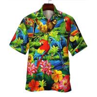 cms/erpbt/backend/web/uploads/erp/collection/images/Women clothes/FRYJ/EN450313/img_b/EN450313_img_b_5